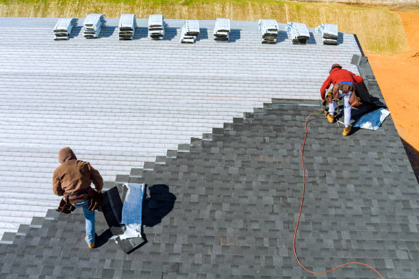 Best Roof Moss and Algae Removal  in Crewe, VA